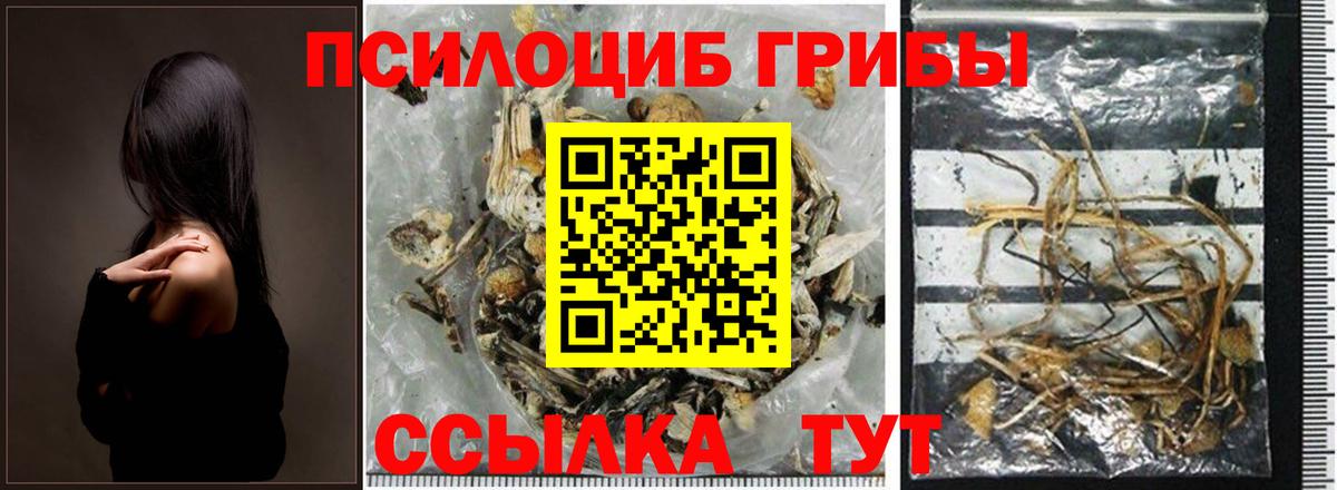 Псилоцибиновые грибы прущие грибы  Вход с VPN  Ростов Великий 
